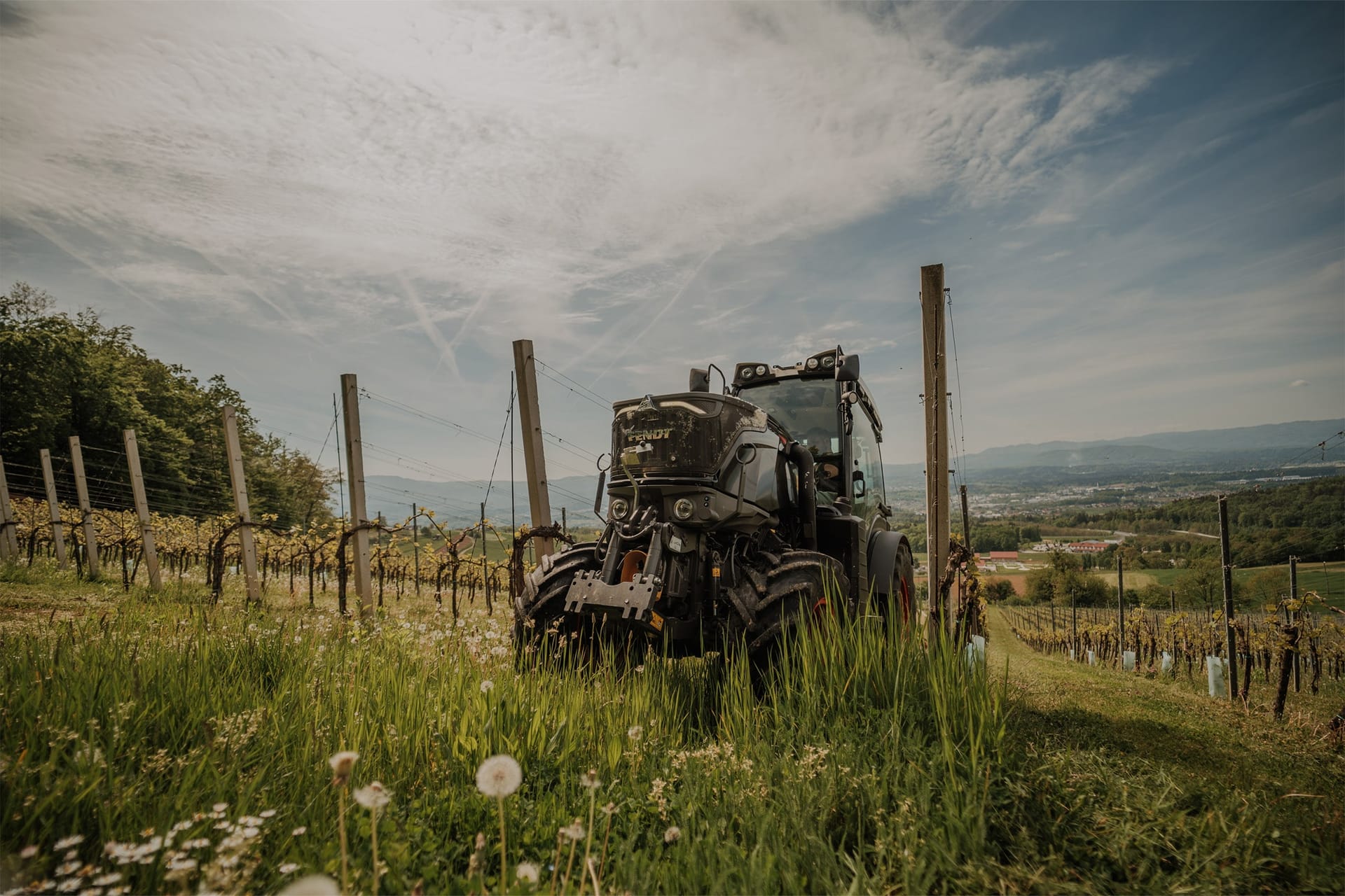 Traktor na vrsti vinograda z razgledom na dolino in oblačno nebo.