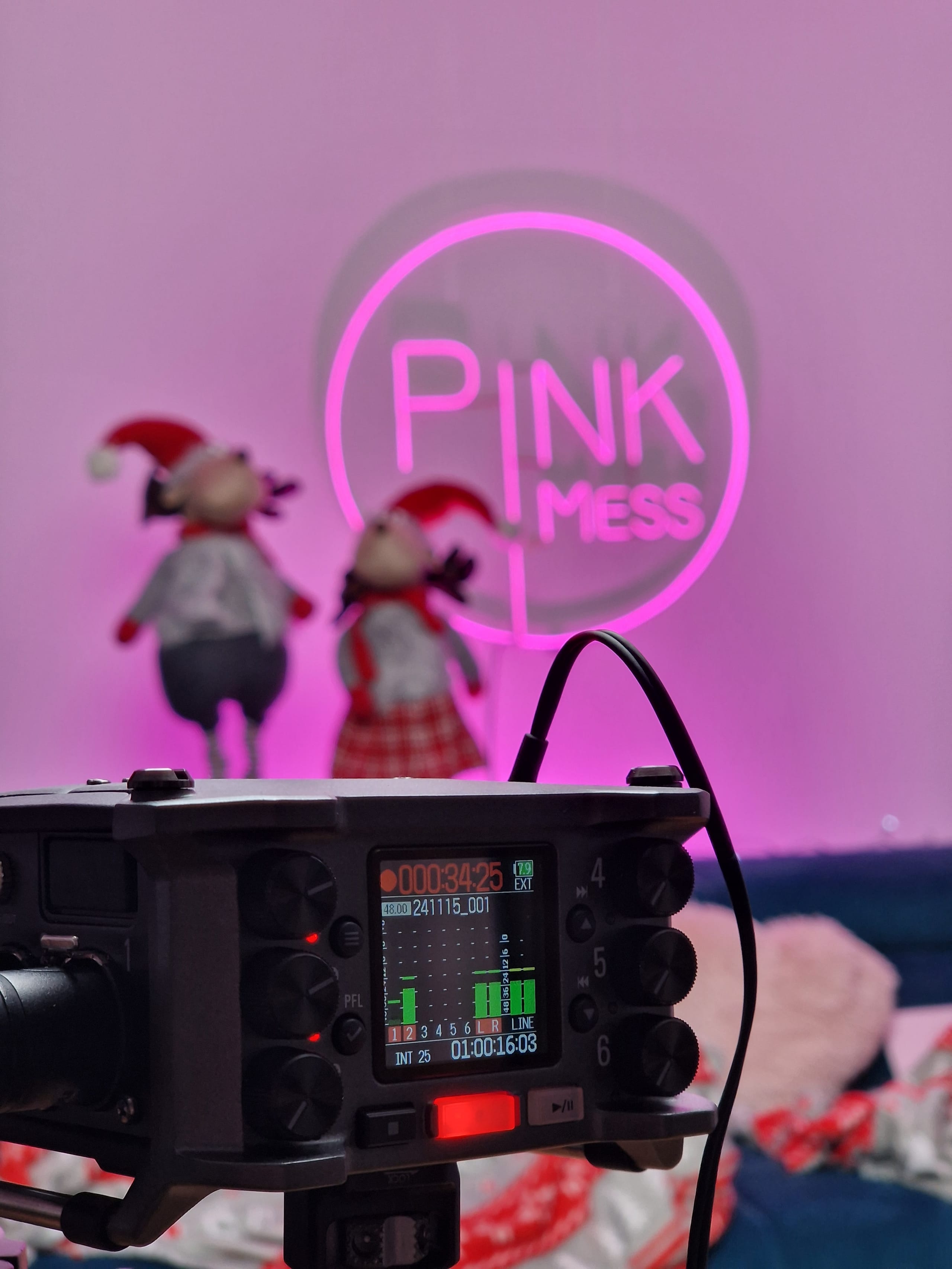 Snemalna naprava pred neonskim napisom Pink Mess in nastopajočima v kostumih.